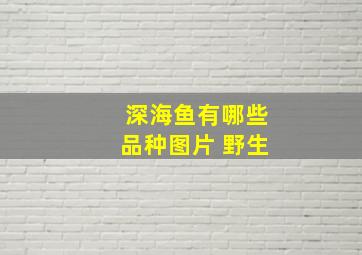 深海鱼有哪些品种图片 野生